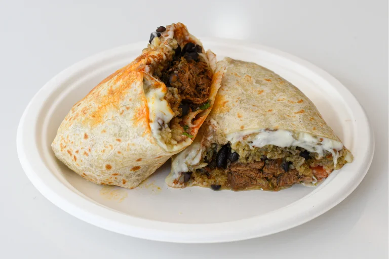 Birria Burrito