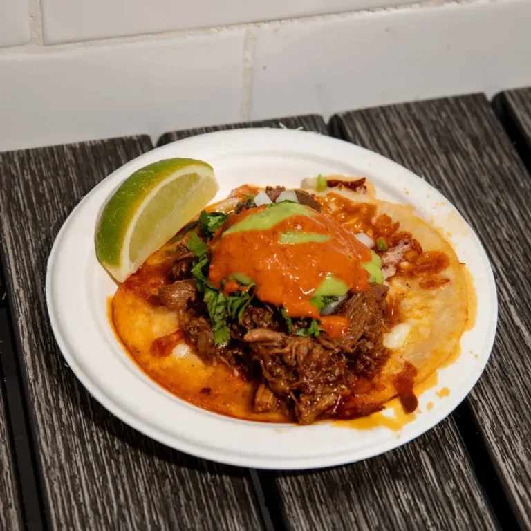 Birria-Taco